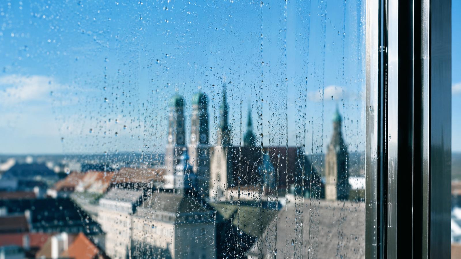 Blitzsauberes Fenster nach professioneller Reinigung